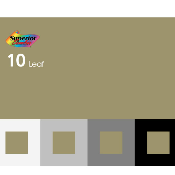 10 - Leaf