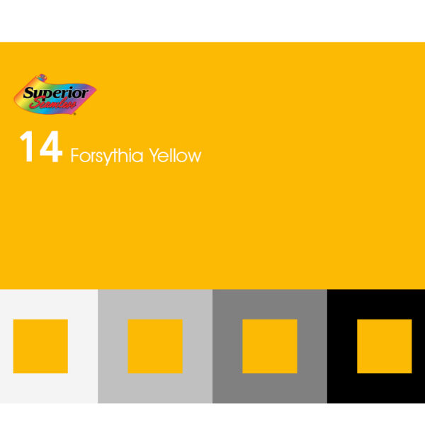 14 - Forsythia Orange