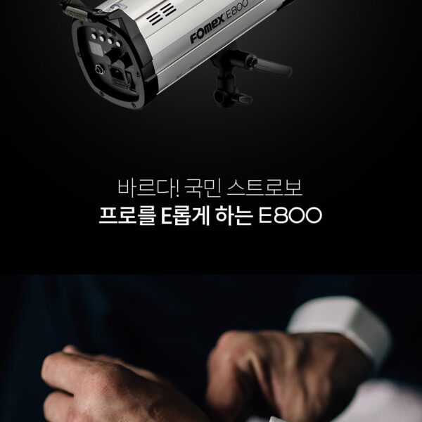 포멕스 E800