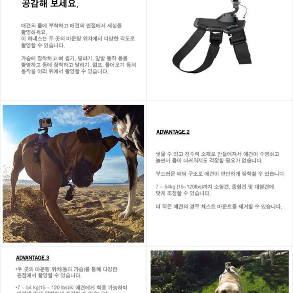 고프로 Fetch /도그 하네스 마운트