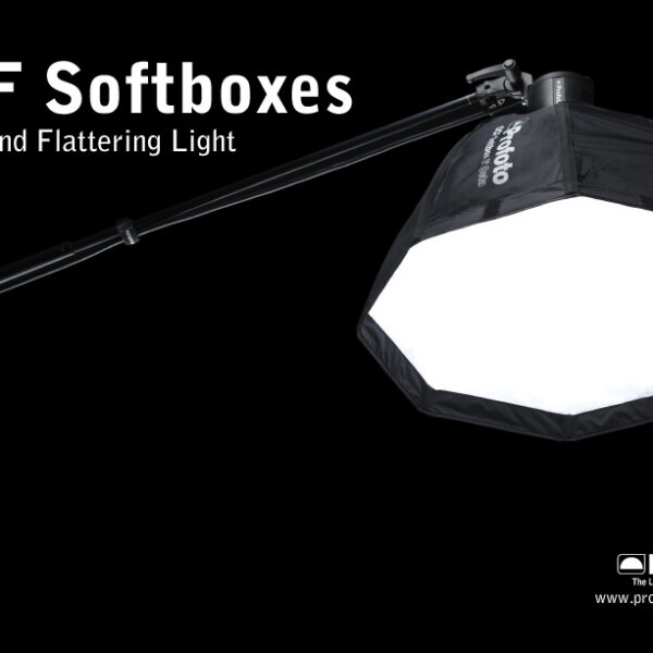 프로포토 OFF-CAMERA FLASH Softgrid 2' Octa /60cm 팔각소프트박스 그리드